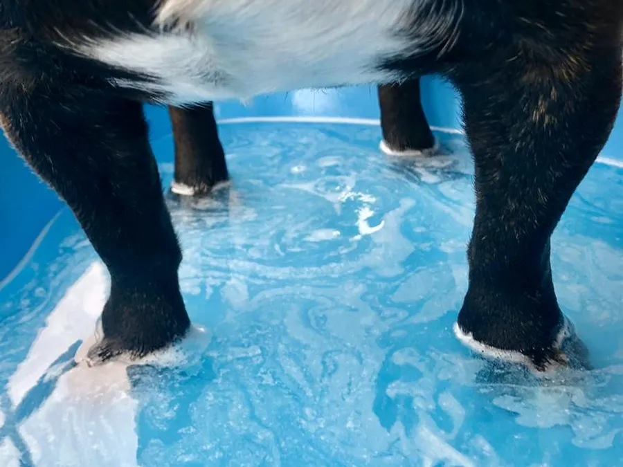 DolceVilla Foot Spa