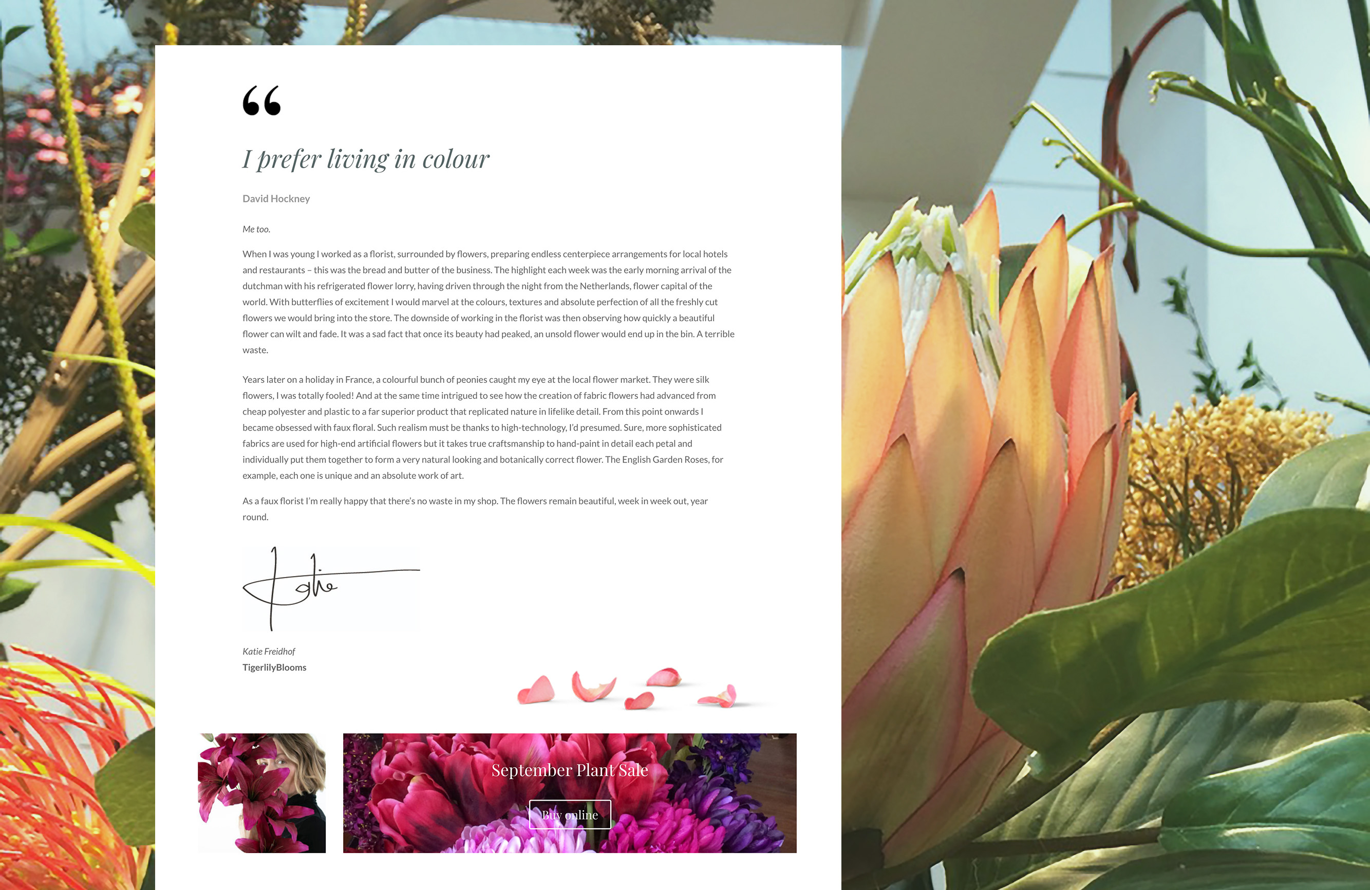 I prefer living in colour, TigerlilyBlooms