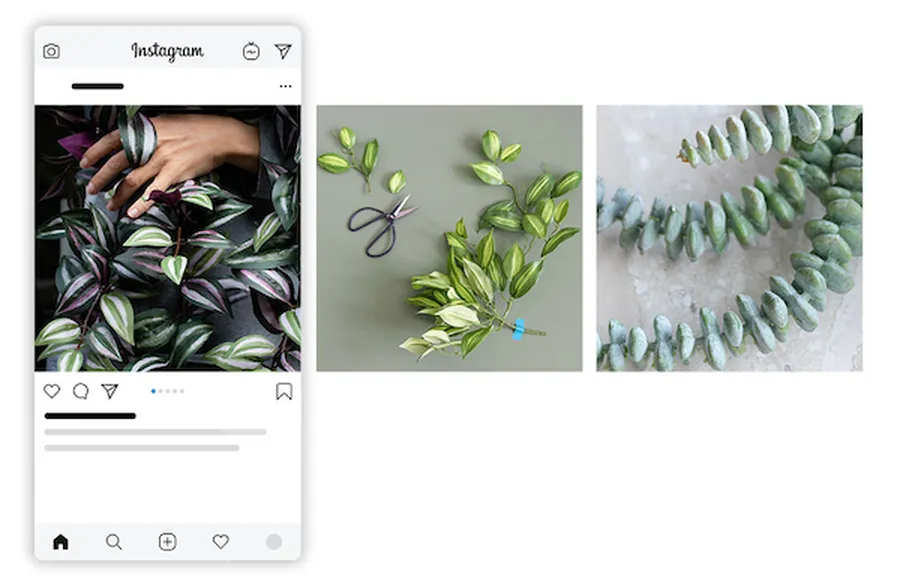 TigerlilyBlooms social media image
