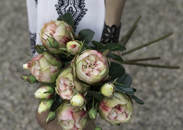 TigerlilyBlooms David Austin Roses